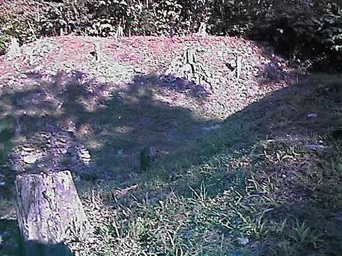 qa000415.jpg