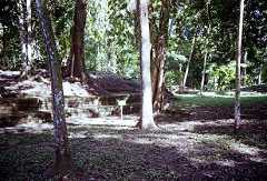 fb000157.jpg