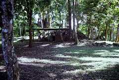 fb000158.jpg