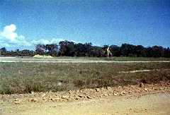 fb000239.jpg
