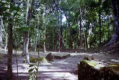 fb000622.jpg