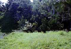 fb000828.jpg