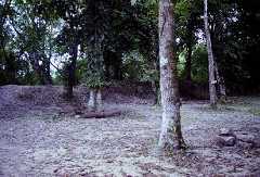 fb000962.jpg