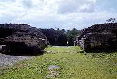 fb001009.jpg