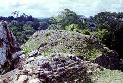 fb001025.jpg