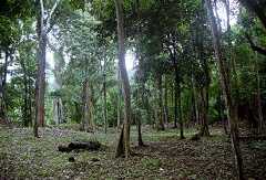 fb001066.jpg
