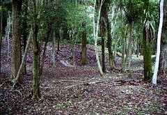 fb001069.jpg
