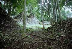 fb001172.jpg