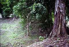 fb001180.jpg