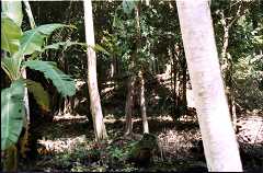 fd000006.jpg