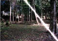 fd000009.jpg