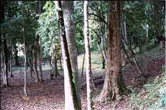 fd000017.jpg