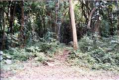 fd000021.jpg