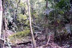 fd000023.jpg