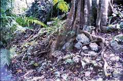 fd000024.jpg
