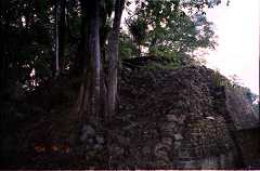 fd000025.jpg
