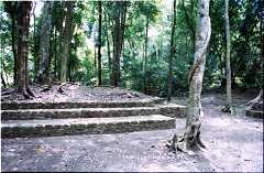 fd000123.jpg