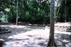 fd000125.jpg