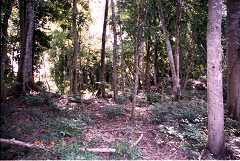 fd000141.jpg