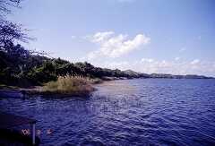 ff000047.jpg