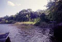ff000051.jpg