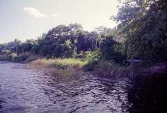 ff000052.jpg