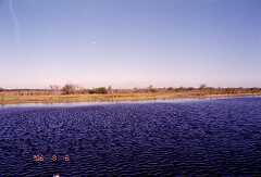 ff000059.jpg