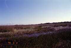ff000074.jpg