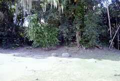 ff000120.jpg