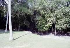 ff000121.jpg