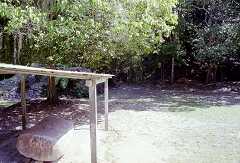 ff000123.jpg