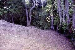 ff000136.jpg