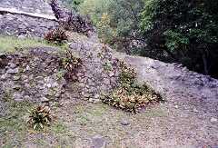 ff000137.jpg