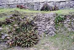 ff000138.jpg