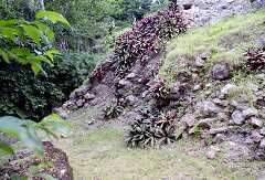 ff000139.jpg