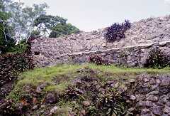 ff000141.jpg