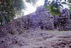 ff000152.jpg
