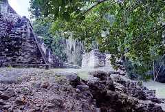 ff000153.jpg