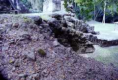 ff000154.jpg