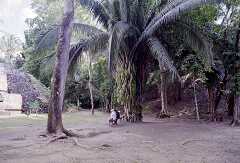 ff000164.jpg
