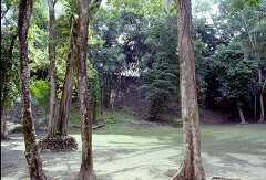 ff000165.jpg