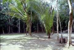 ff000166.jpg