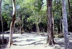 ff000167.jpg