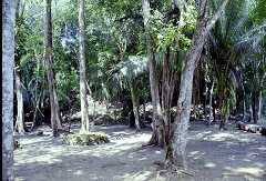 ff000168.jpg