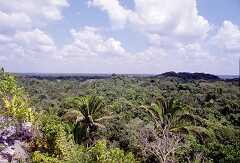 ff000198.jpg