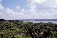 ff000199.jpg