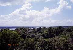 ff000201.jpg