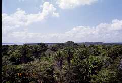ff000202.jpg