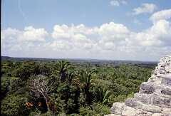 ff000203.jpg