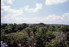 ff000204.jpg